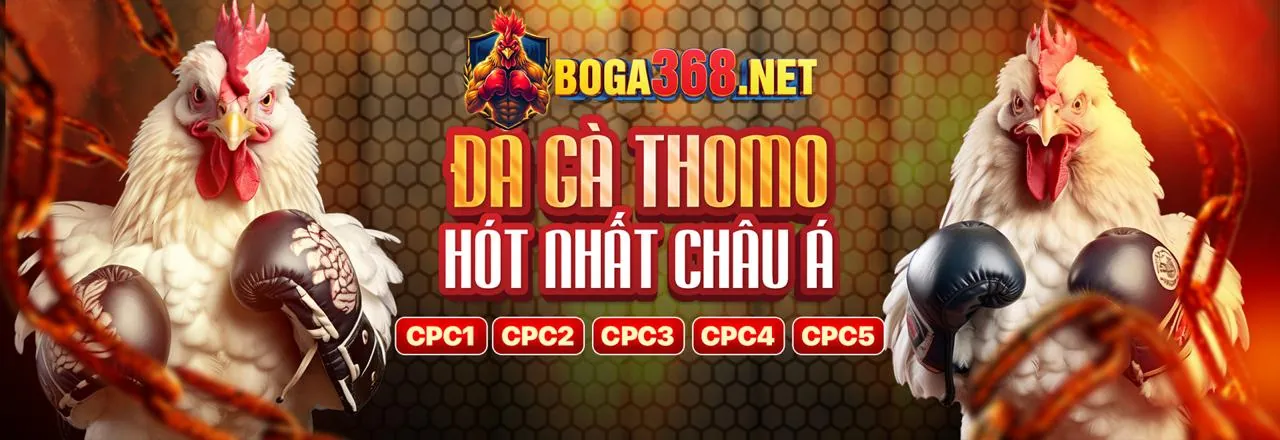 Sân đấu đá gà trực tuyến sôi động tại 888vnđ